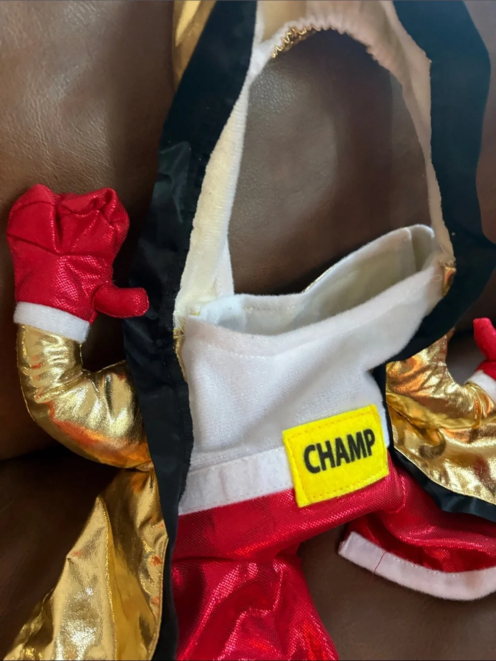 Boxing Champ Frontal dog S Halloween costume